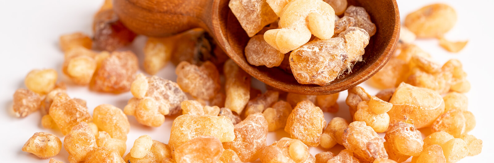 Boswellia serrata – roślinne wsparcie stawów