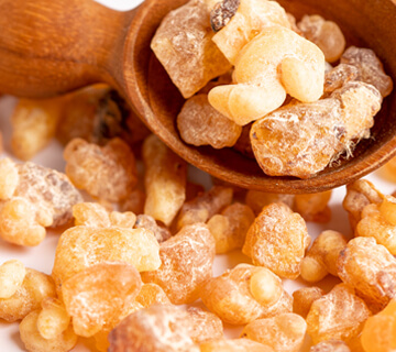 Boswellia serrata – roślinne wsparcie stawów